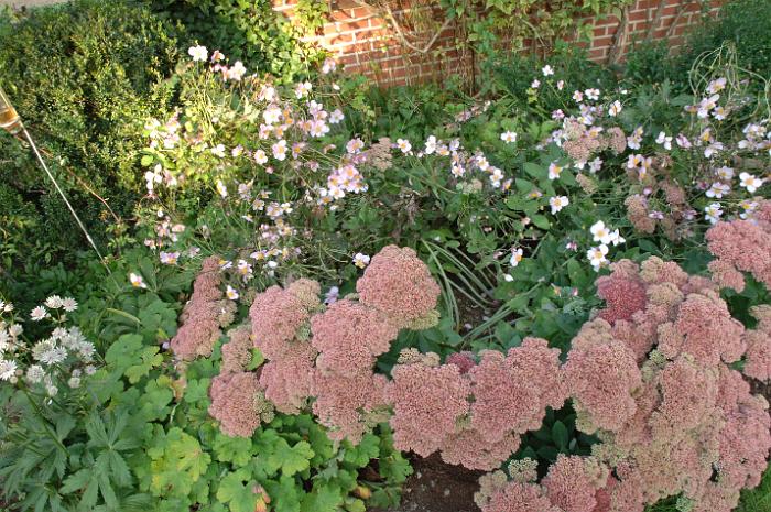 LeJardindeMmeDeville (14)